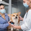 거제동물병원 | 거제 동물병원마케팅, 신환 폭증 비결 공개합니다.