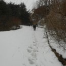 고시골 이미지