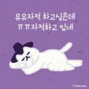 유유자적 이미지