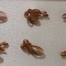 차향만리 이미지