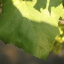 이승민농장 이미지