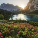 (주)윈터그린 이미지