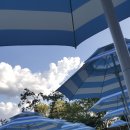 석촌호수어린이집 이미지