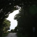 혼인지마을 이미지