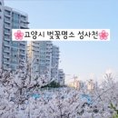 충장로 350번길 이미지