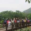 구)도천초등학교 이미지