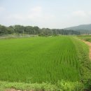 지평농장 이미지