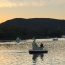 그림동화in호반어린이집 | 가을 경주 보문호수 나들이💛 은행나무·단풍·오리배+미디어아트·QR 신라 의복체험까지 완벽 힐링 코스!