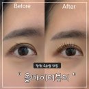 상남동295 | 창원 속눈썹 펌 맛집 지속력 UP "올마이티뷰티" 첫 방문 후기