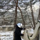 산골캠핑장 이미지
