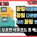 욜디