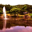 태조산 공원 이미지