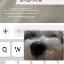 (주)담운 | 🤍 💍 W- 04 [내 로망 다 담운,, 오브하우스 아이폰 스냅 계약 후기 📷]
