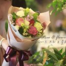 쉐이드트리