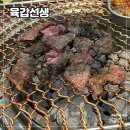 육갑선생 이미지