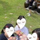 밀성여자중학교 이미지
