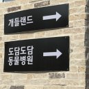 도담도담PET 네이버블로그
