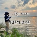 아산호 | 6월 초, 아산호와 삽교호의 배스낚시
