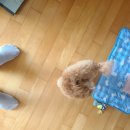 혜민서 의료기 복지용구 이미지