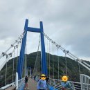 봉래약국 | 울릉도-독도 여행 1