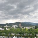 캘리포니아비치 하이시즌 내돈내산 후기, 경주 워터파크 소개와 꿀팁 공유