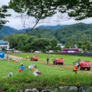 춘양양묘사업소 이미지