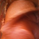 부안제일고등학교 이미지