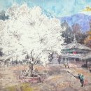 성암사 Daum카페