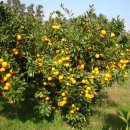 태을한의원 이미지