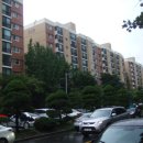 강남-258 이미지