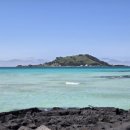 한림좀녀삼춘 이미지