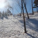 주식회사썬밸리 휘트니스 | 세종레이캐슬cc 리조트 무기명 골프회원권 매수후기