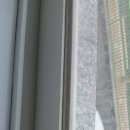 부산체육중학교