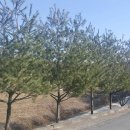 윤성농산 네이버블로그
