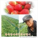 양재철농장 이미지