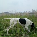 영포농장 이미지