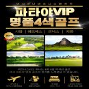 📌 아시아나 비즈니스 패키지 ✨ 파타야에서 즐기는 VIP 명품 골프 시암 | 헤르메스 | 피닉스 | 치짠 4색 명품 라운딩 199만 이미지