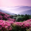 바래봉길 이미지