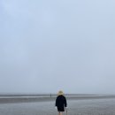 빛과갯벌-1 이미지