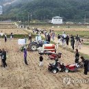 '완연한 가을 만끽하자'…전국 관광지·유원지·산 '들썩' 이미지