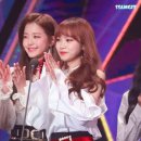 채원