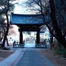 석남사 - 1101 | 석남사