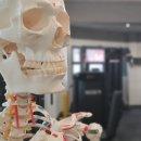 밸런스 메이트 PT STUDIO | [신림 재활 PT] 밸런스 메이트 PT STUDIO, 건강한 몸 만들기