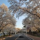 영일만생아구찜 이미지