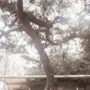 감투봉리조트 티스토리