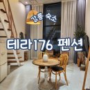테라176 이미지