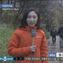 주정차단속-51 이미지