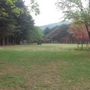 그림그리는날미술학원 - 광명시 철산로30번길 9 | 그림그리는날미술학원