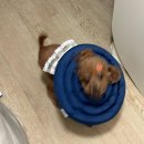 케렌시아캠핑장 | 바햐흐로 습한 날씨에 슴슴한 밀기를