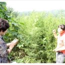 경빈농장 이미지